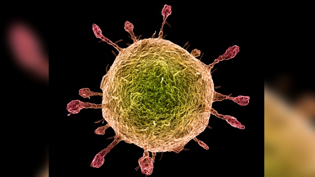 Covid-19 and its symptoms